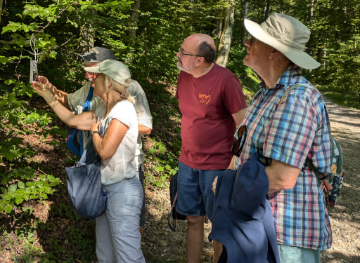 Vier Vereinsmitglieder studieren im Wald einen Zettel, der an einem Ast am Wegrand hängt